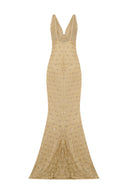 Aurelia Veil Dress
