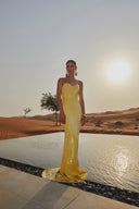 Aurea Strength Dress