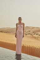 Phoenix Reborn Dress